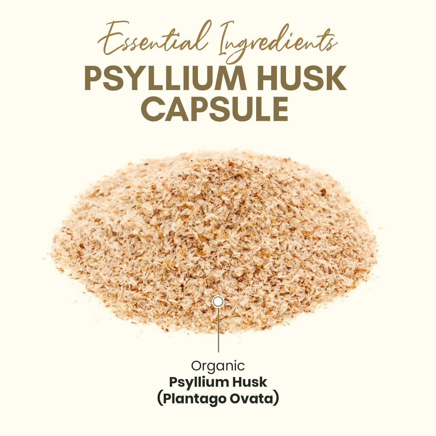 Cápsulas de cáscara de psyllium Suplemento de fibra natural para la salud intestinal 750 mg 250 cápsulas