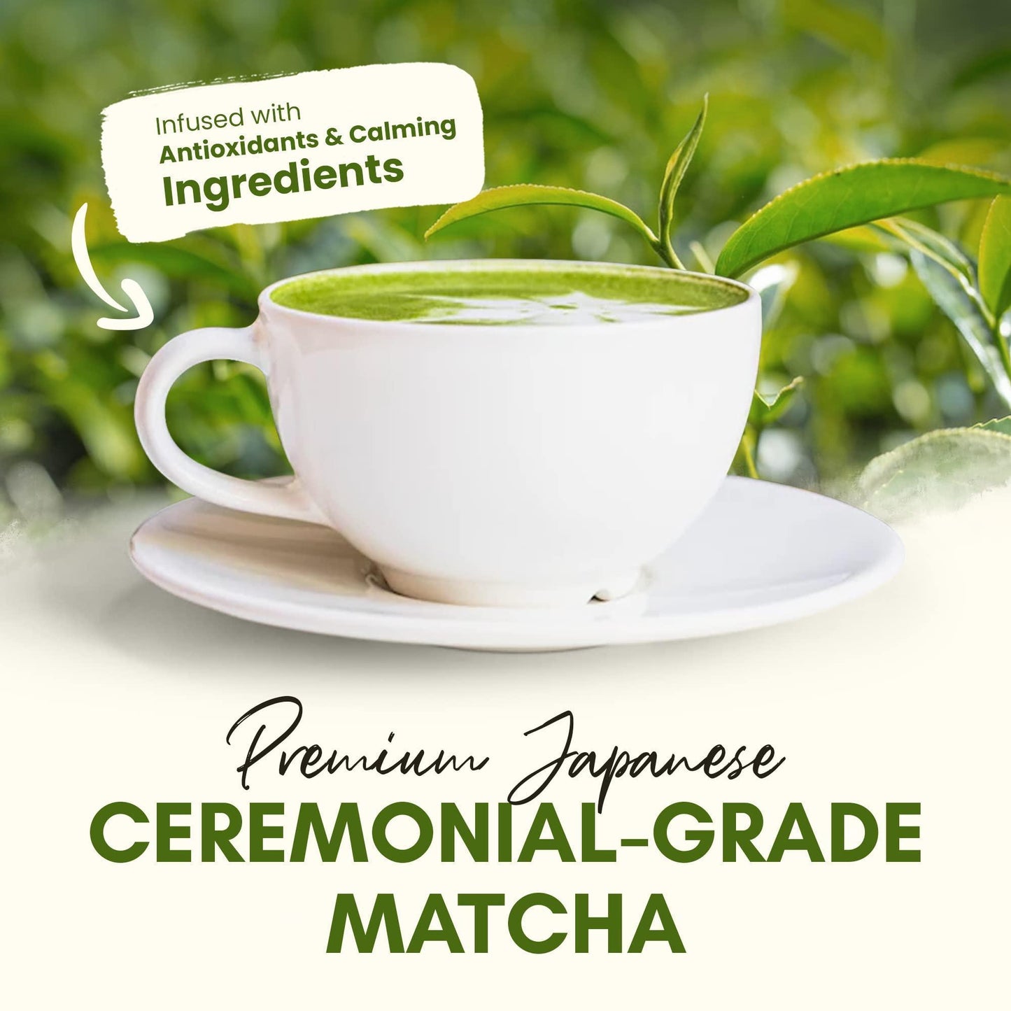 Organic Matcha Latte Pure Japanese Tea Blend with Ashwagandha and Maca 45 Servings